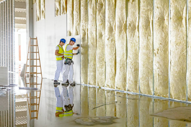 Best Specialized Insulation Services in Pekin, IL